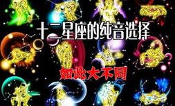 星座之歌,揭秘十二星座的独特魅力与命运旋律