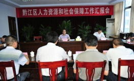 九龙坡区人力资源和社会保障网,九龙坡区构建多元化人力资源与社会保障服务体系