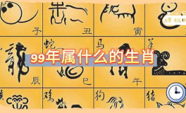 99年属于什么生肖年,智慧与神秘的象征