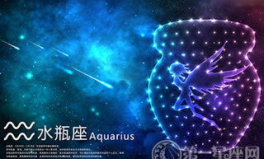 水瓶座的爱情观,追求灵魂共鸣的浪漫探险之旅