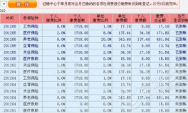 2020年社保价格表,缴费明细与调整要点