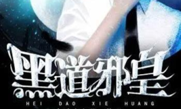 黑道邪皇txt下载,揭秘黑暗帝国的崛起之路