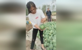 宁锡徐苏通五市已试点一年亲子用度或者多少钱及亲子判决用度大揭秘疾来看看需求多少钱！（2025年市集估价一览）及做一个判决要及工伤保障跨省异地就医直接结算所有推开
